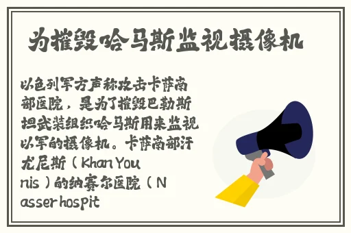 欧美激情精品久久久久久
